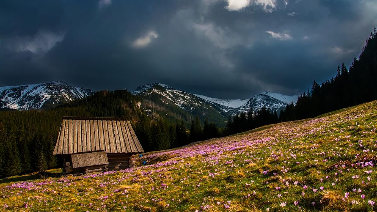 satul fantoma din muntii poiana rusca locul ascuns in care nu mai locuieste nimeni