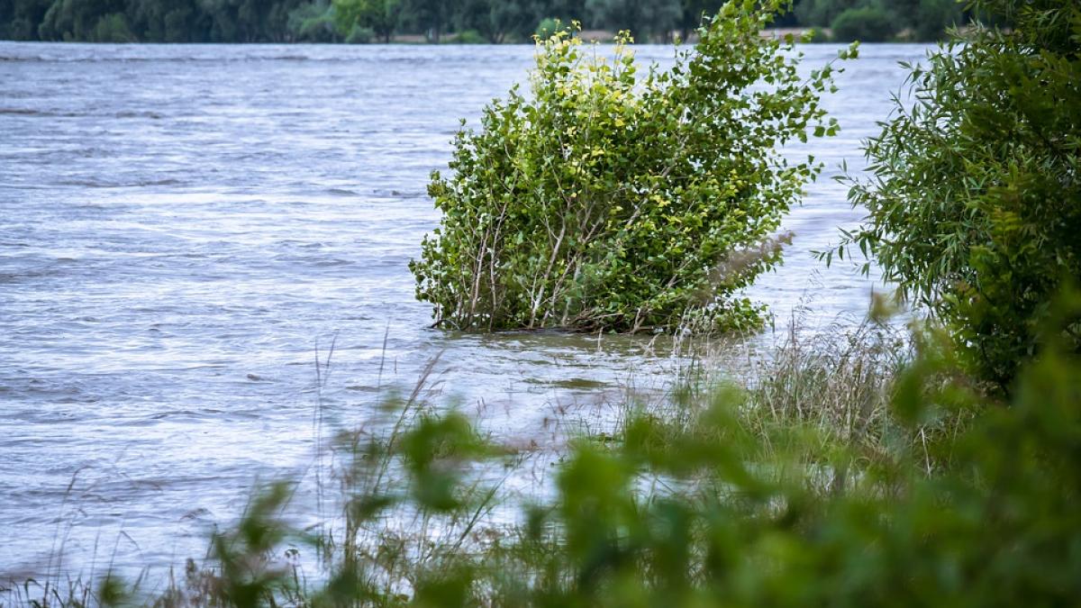 vaslui peste 30 de persoane evacuate din casele inundate