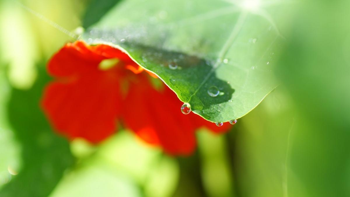 prognoza meteo pentru doua saptamani vremea pe regiuni nu scapam de ploi