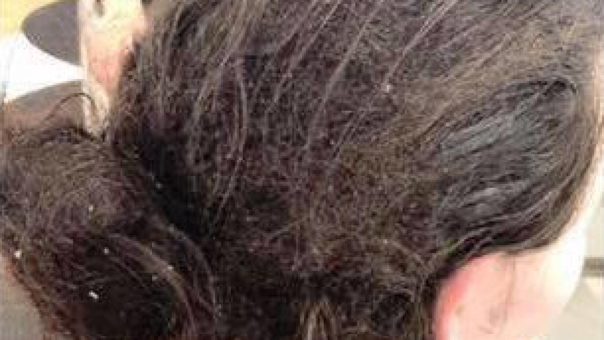 aceasta femeie a intrat in salon pentru a se tunde stilista a vazut o si a inceput sa vorbeasca cu