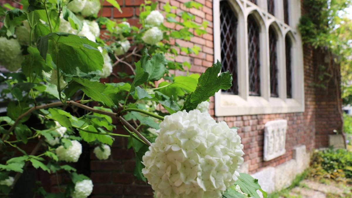 noaptea muzeelor lucrarea cap de copil de brancusi va fi expusa la muzeul de arta veche apuseana