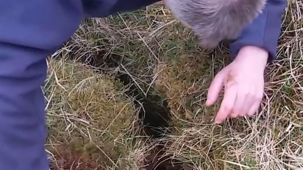 auzea sunete ciudate dintr o crapatura din pamant s a apropiat si s a uitat nu i a venit sa creada