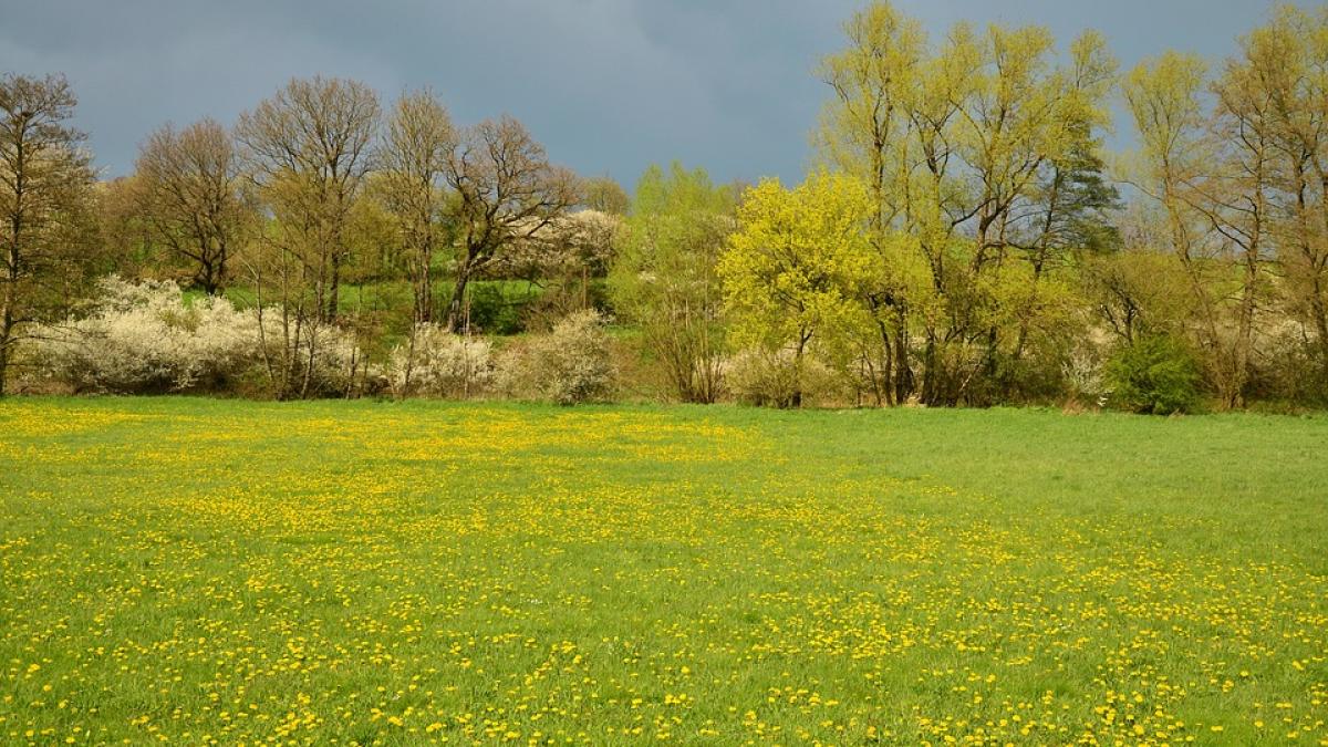 de cand se incalzeste vremea prognoza anm