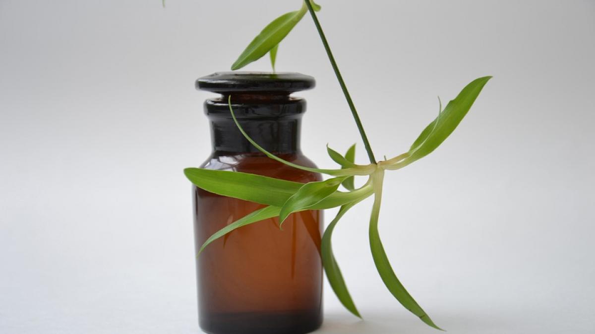 bitterul suedez cum si cand sa il folosesti