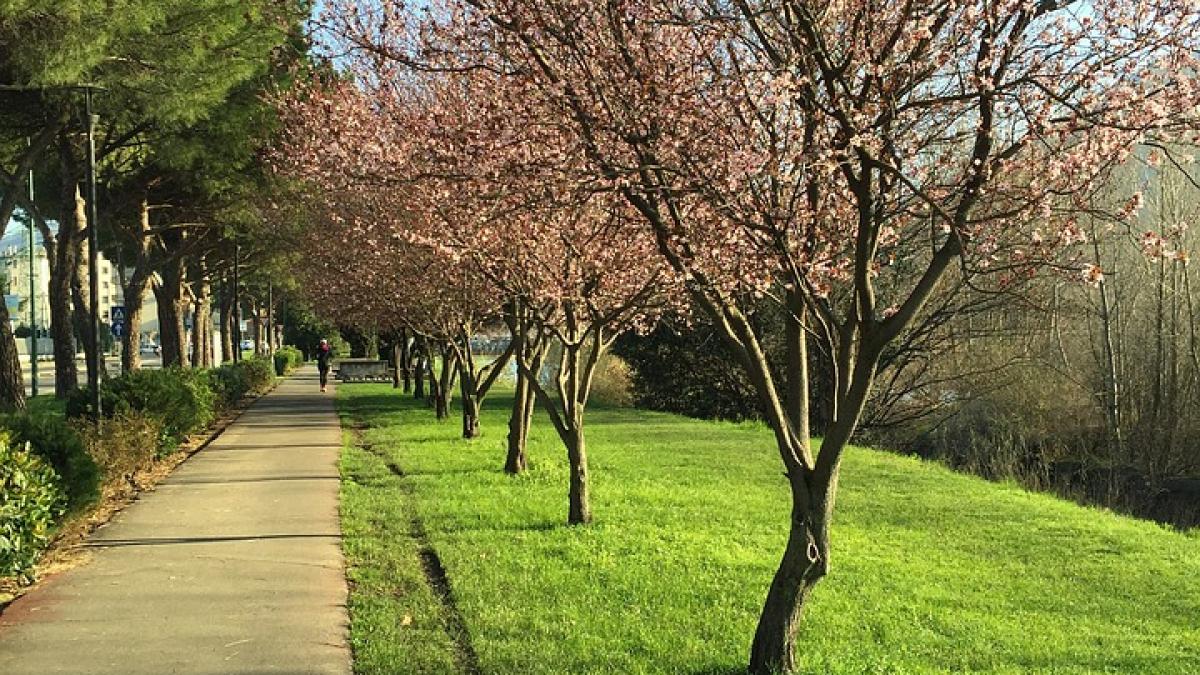 pe cine mosteneste beneficiara megaretrocedarii de 22 de hectare din bucuresti e fata de caramidar