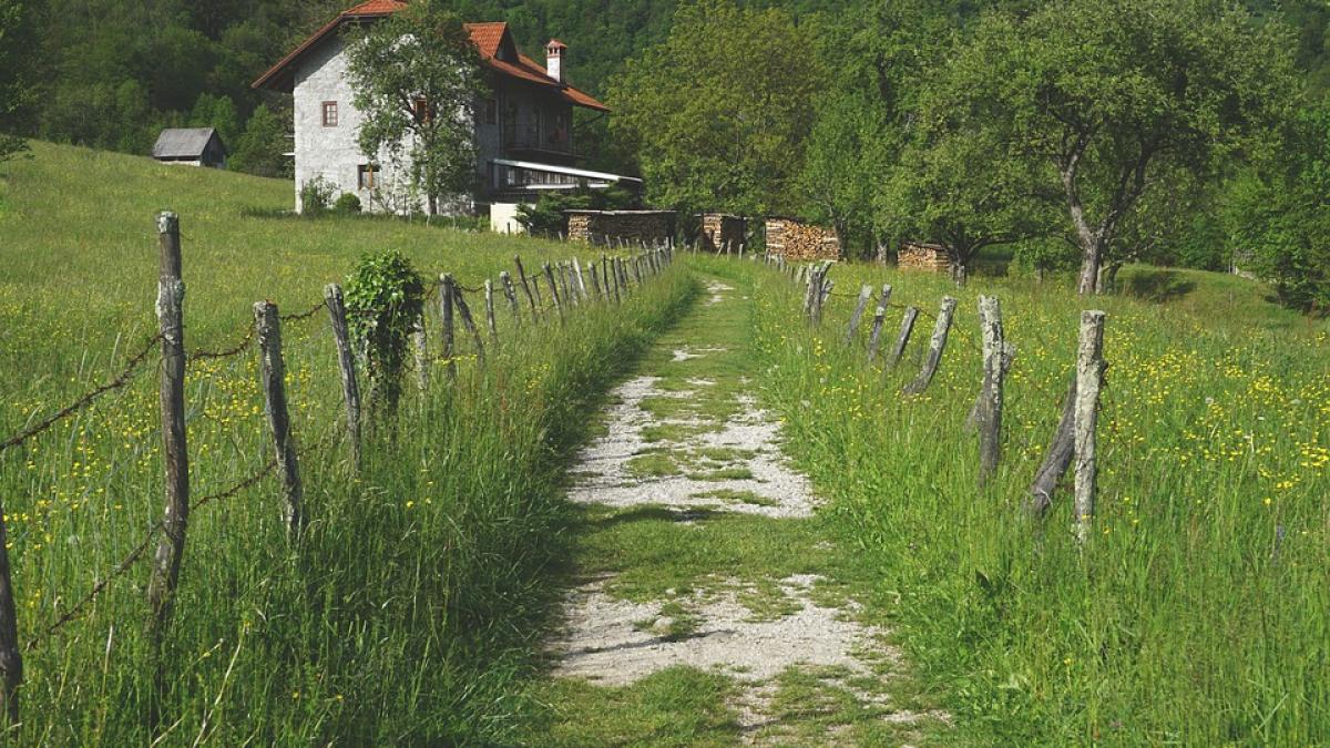 un sat intreg a fost revendicat de urmasii unui nobil maghiar