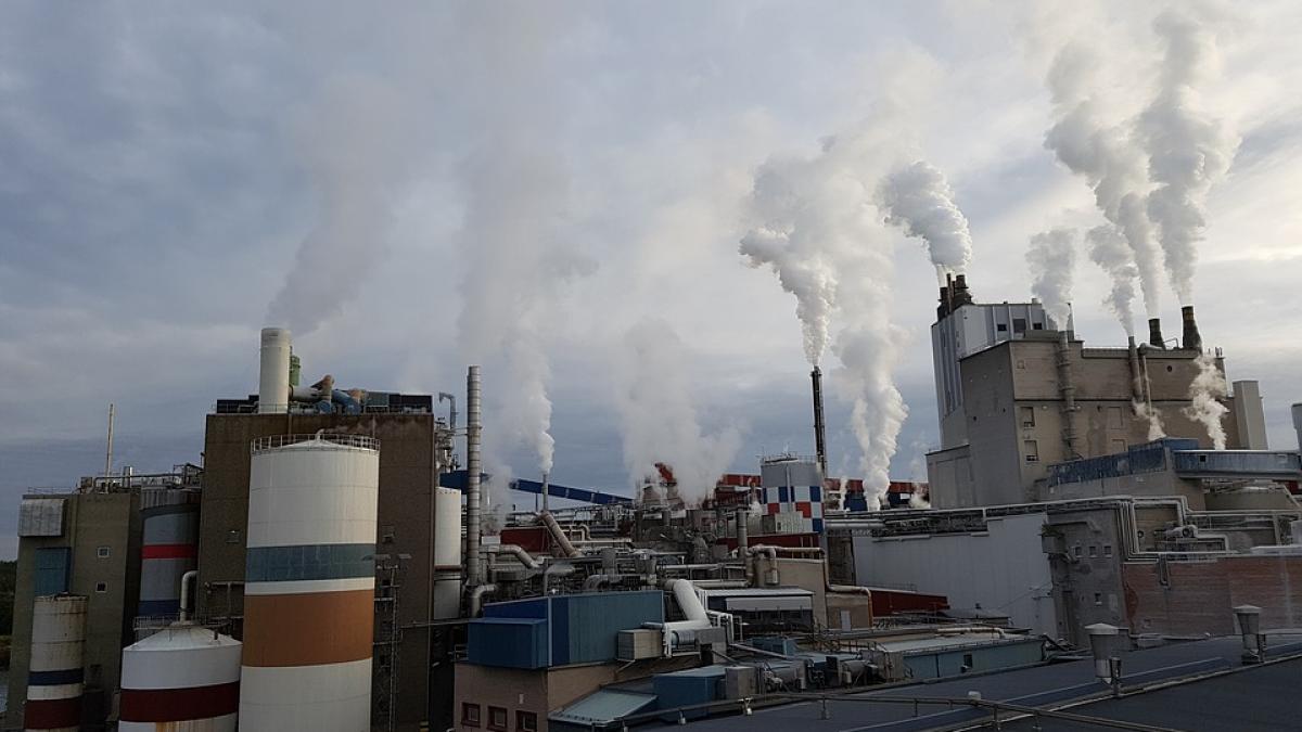 a reusit sa faca avere din vanzarea unui produs de care toata lumea beneficiaza gratis