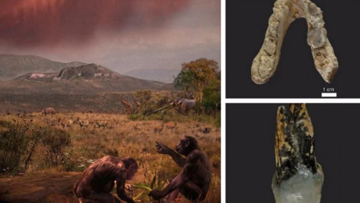 descoperirea care schimba totul anuntul fara precedent facut de oamenii de stiinta