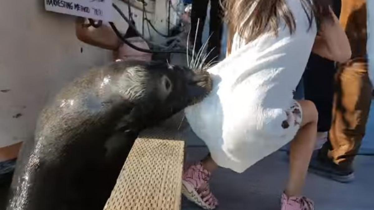 fetita se afla cu parintii ei intr o barca cand monstrul a atacat ce a patit copila sub privirile