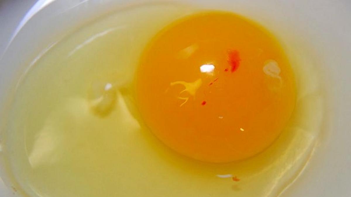 le ai vazut de multe ori dar stii ce reprezinta punctele rosii de sange din galbenusuri