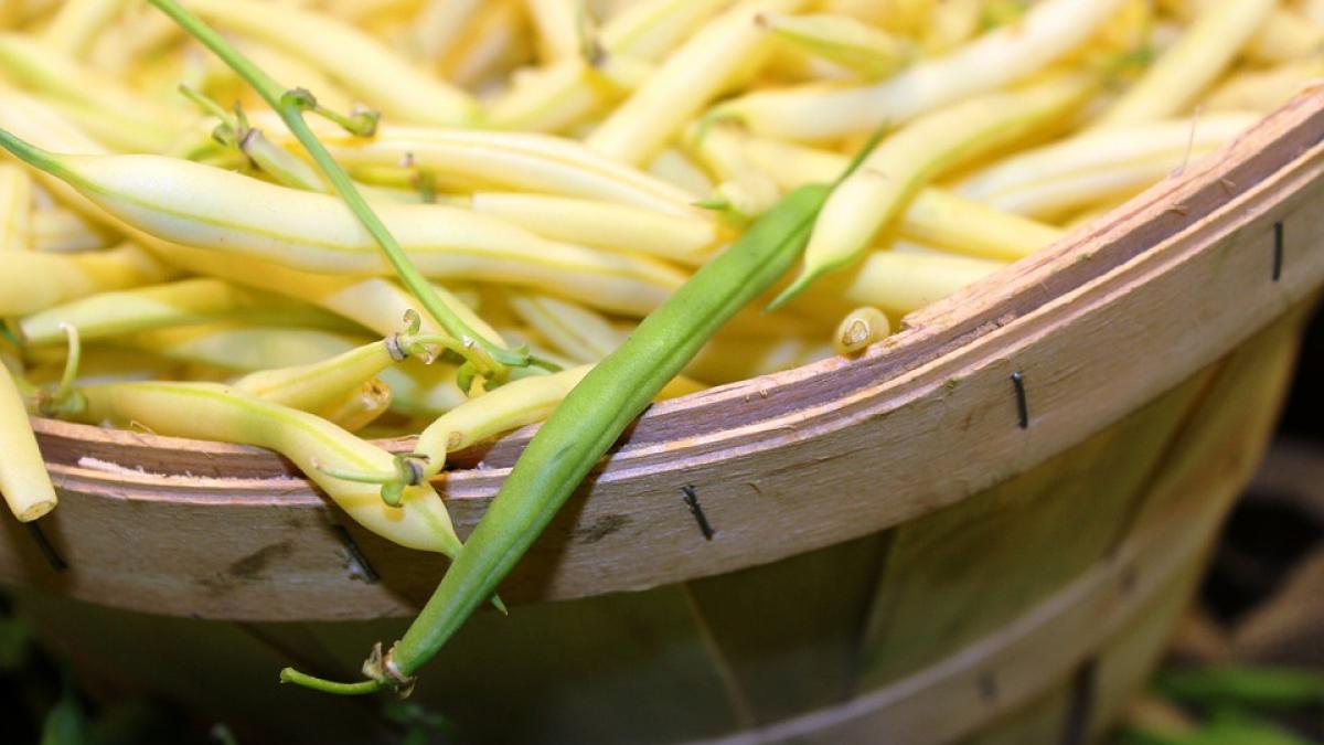 mananci fasole verde sau galbena care este de fapt mai sanatoasa