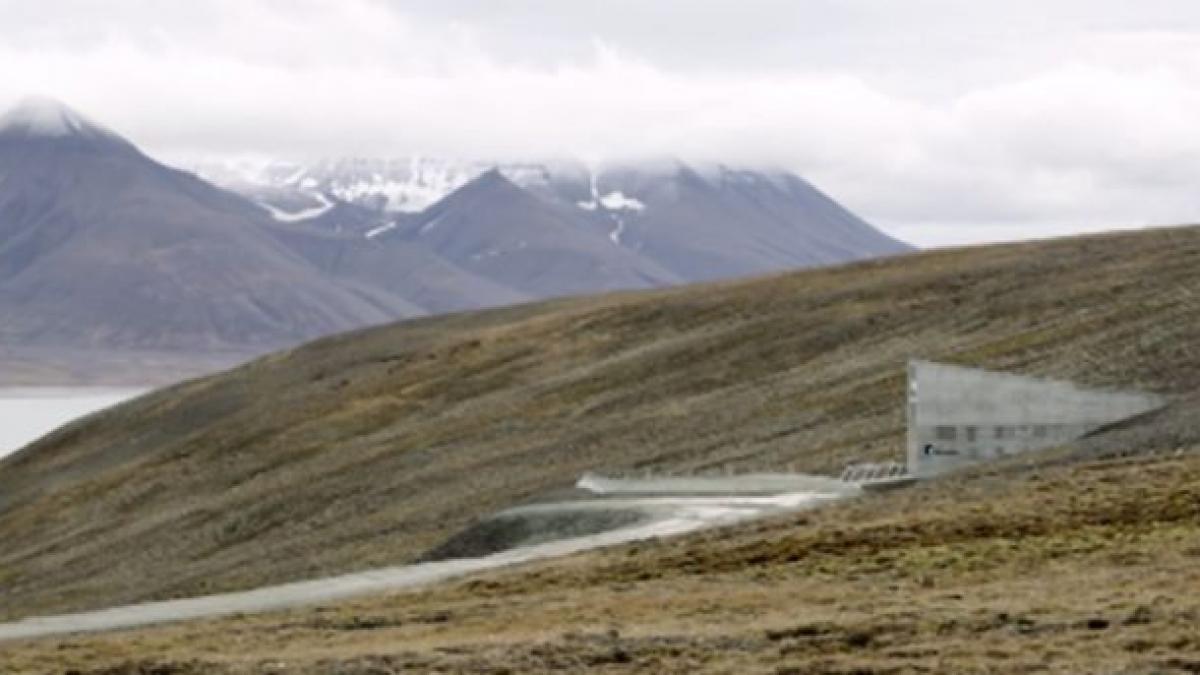 depozitul apocalipsei este in pericol ce se intampla in cladirea care pastreaza mostre din toate