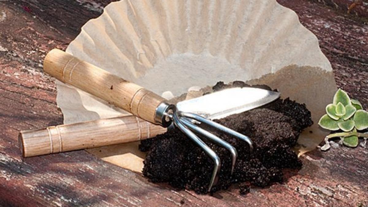 top 10 intrebuintari neobisnuite ale zatului de cafea