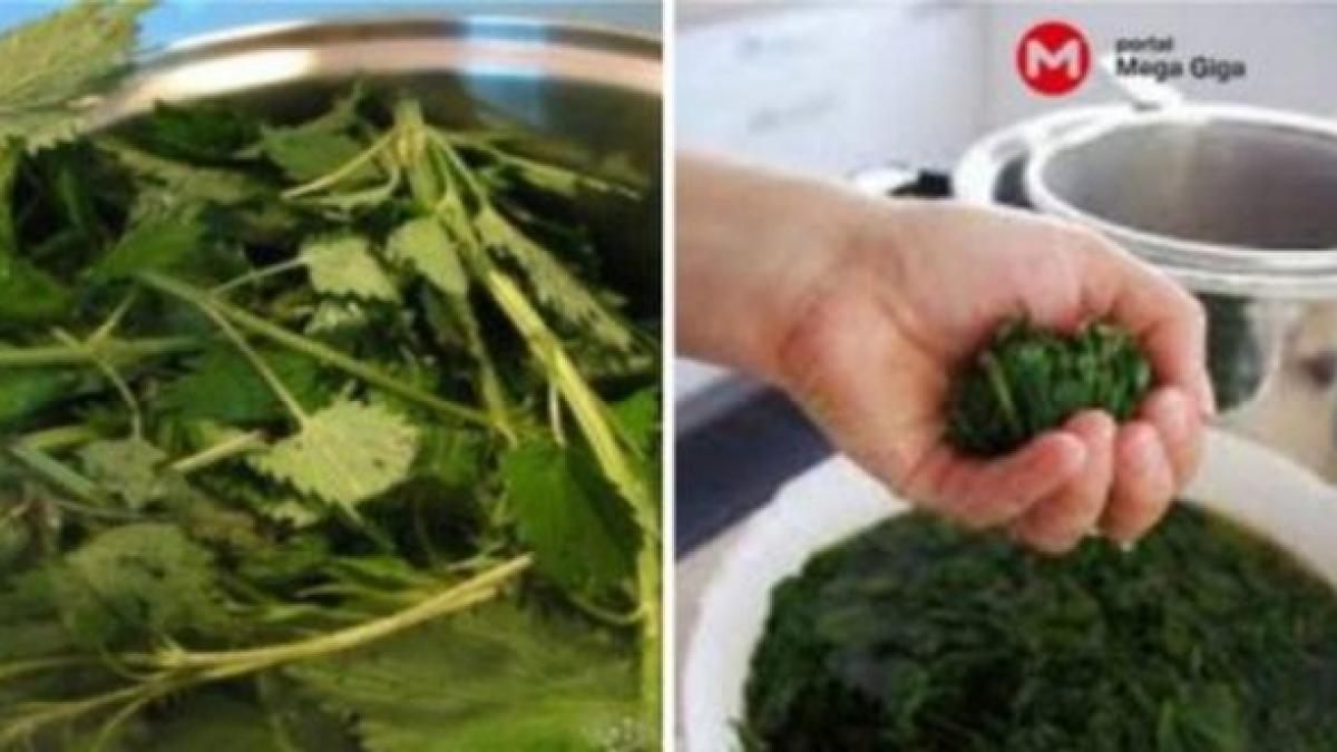 siropul care face minuni pentru organism se simtea mereu obosita si stresata pana cand l a facut si