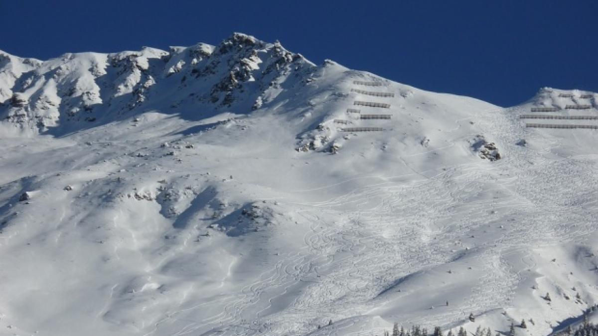 zapada in pragul verii noaptea trecuta a nins iar temperaturile au ajuns sub limita inghetului