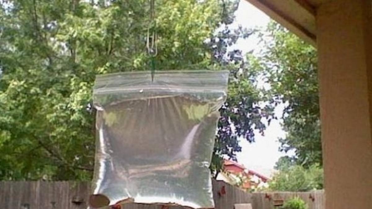 a agatat o punga cu apa si monede in dreptul geamului motivul este incredibil