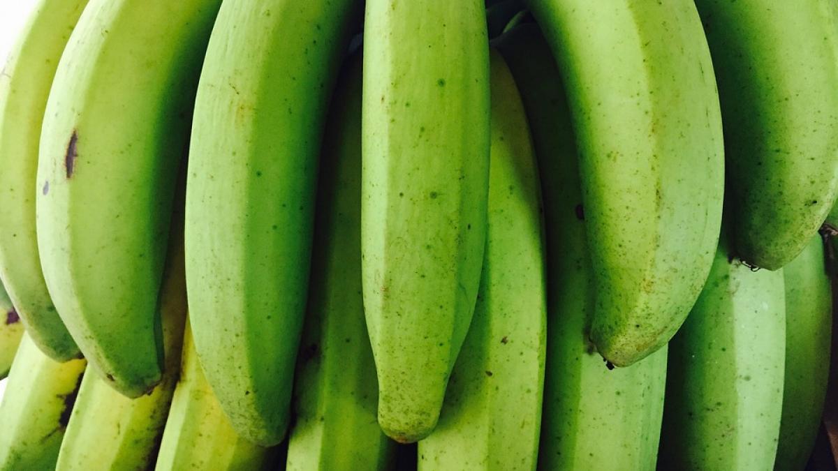 ce efect au de fapt bananele verzi asupra corpului