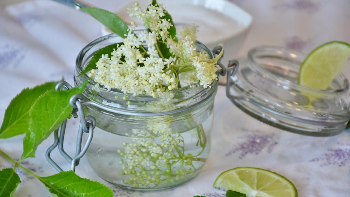 ce se intampla in corp dupa ce bei socata