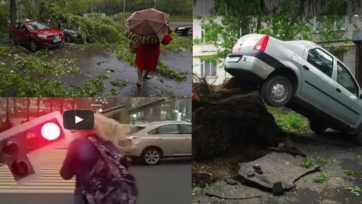furtuna violenta la moscova sase morti si zeci de raniti dupa caderea mai multor arbori