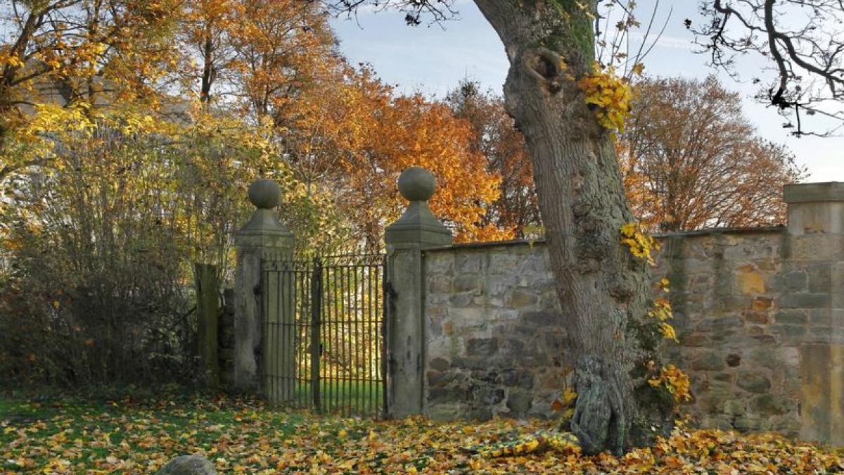 ce ascunde cu adevarat aceasta imagine ai cinci secunde