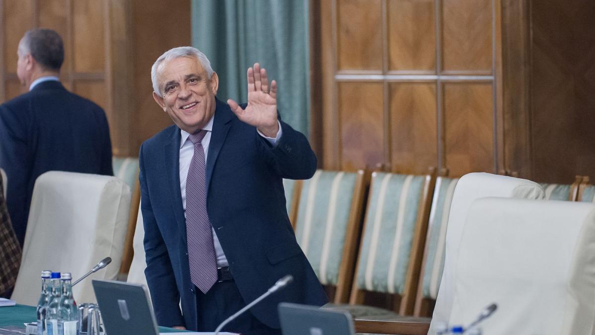 de ce sa fie oaia brand de tara daea oaia este o statuie vie langa oaie gasesti o frunza dar langa