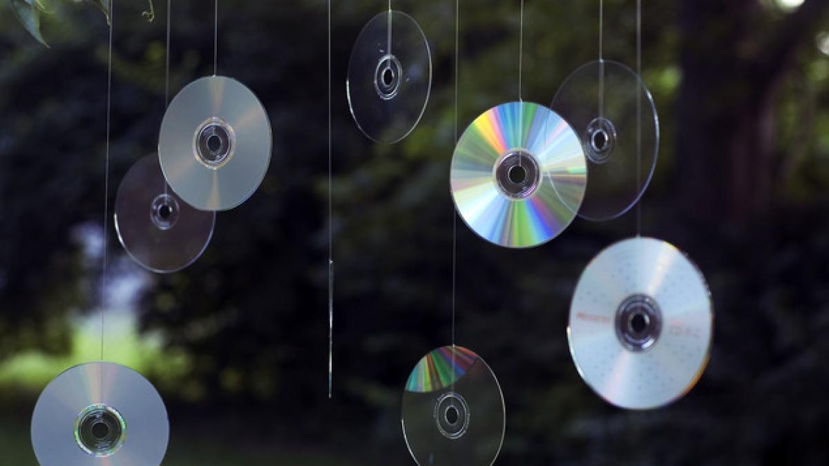 e cel mai tare truc de ce e bine sa iti agati vara un cd la fereastra