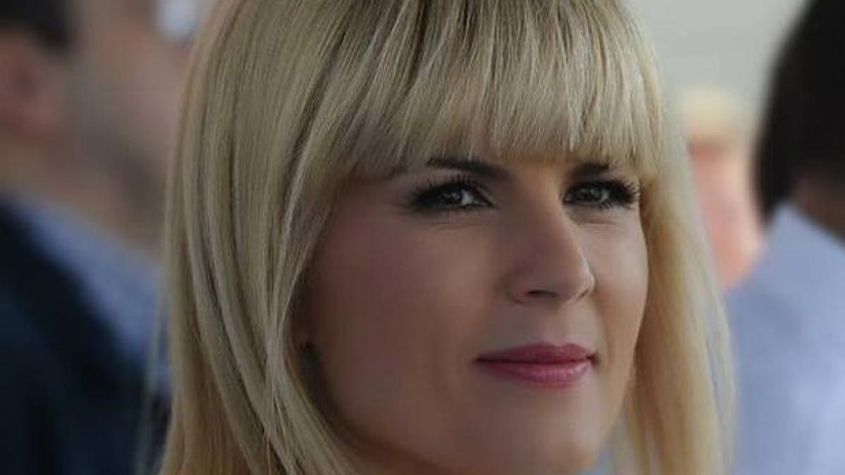 udrea ironie la adresa ministrului turismului sper ca nu a mancat oaia frunza