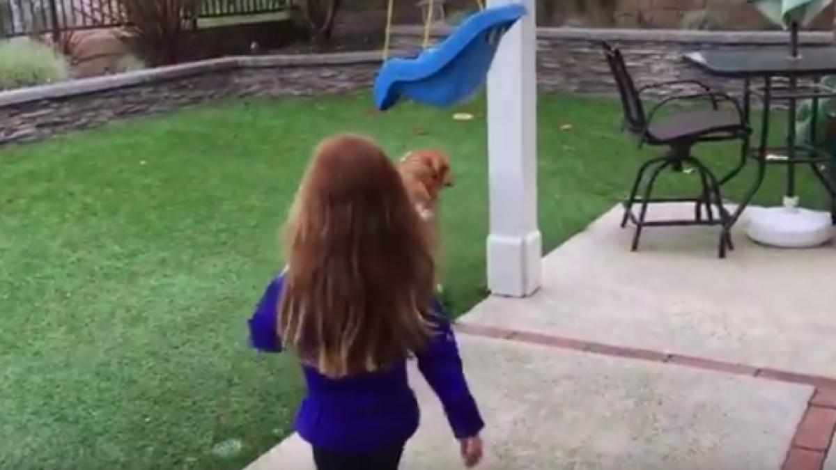 le a spus profesorilor ca tatal sau creste iarba ce i a facut parintele cand a ajuns acasa video