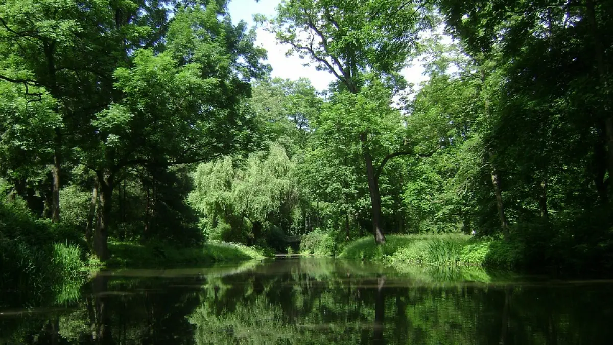 lacul blestemat din hunedoara povestea cadavrului din sacul plutitor neelucidata de 12 ani