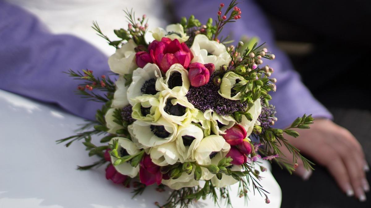 cum arata mireasa de 93 de ani care cere ajutorul internautilor pentru a si alege rochia de nunta