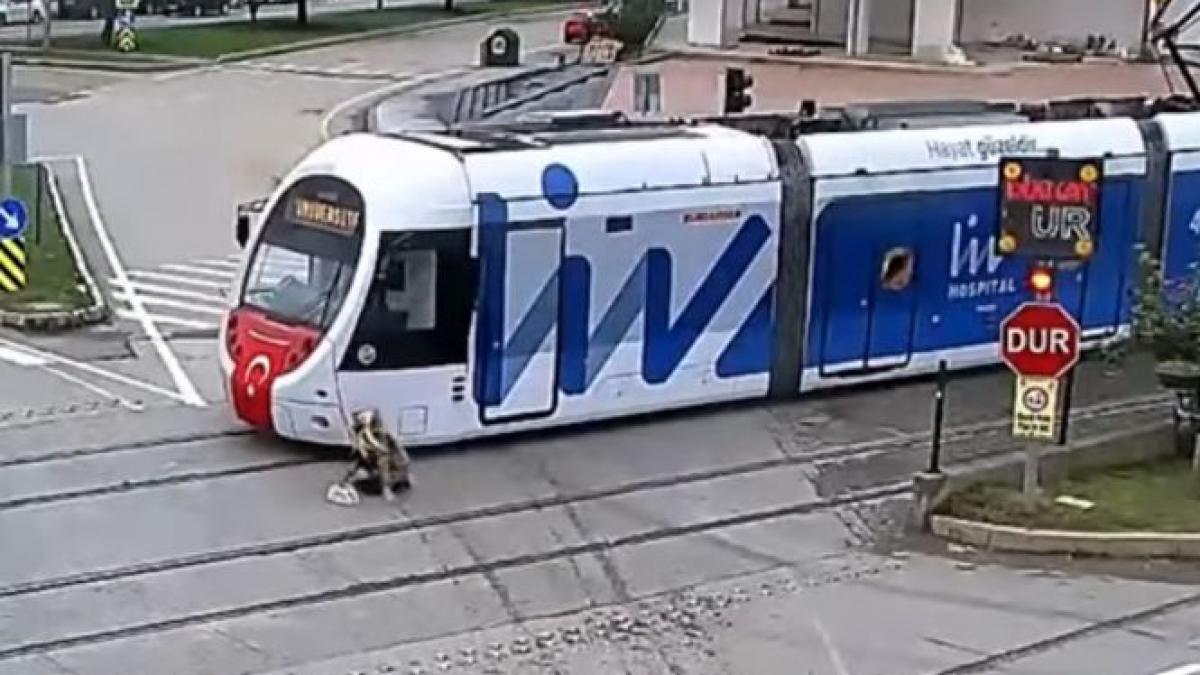 momentul in care o femeie este lovita de un tramvai greseala comisa de victima inainte sa fie