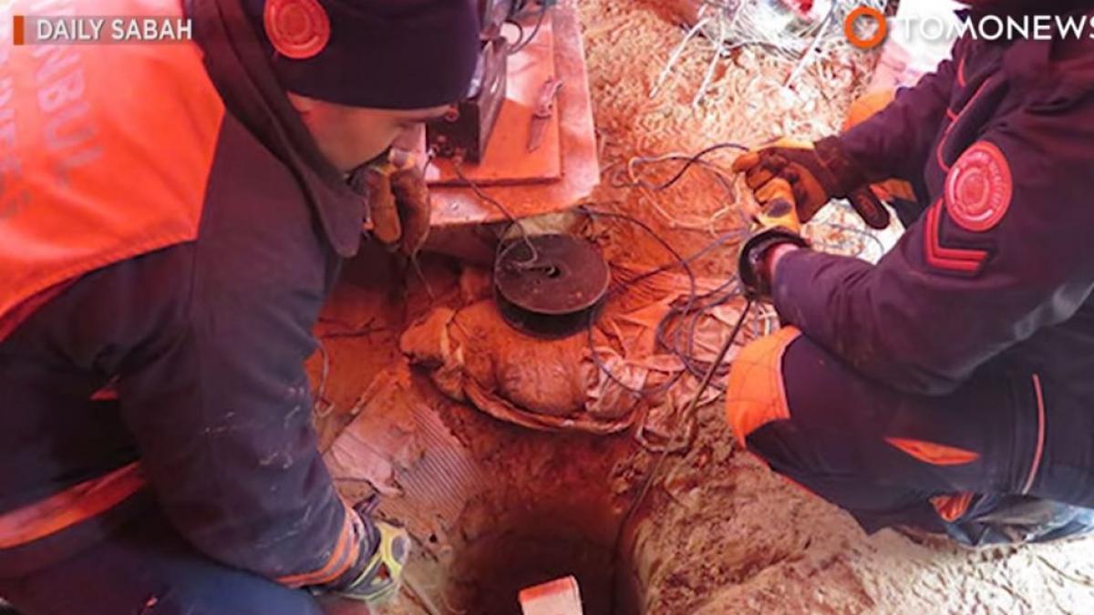 auzeau de cateva ore bune zgomote ciudate dintr un put au chemat pompierii dar misiunea s a