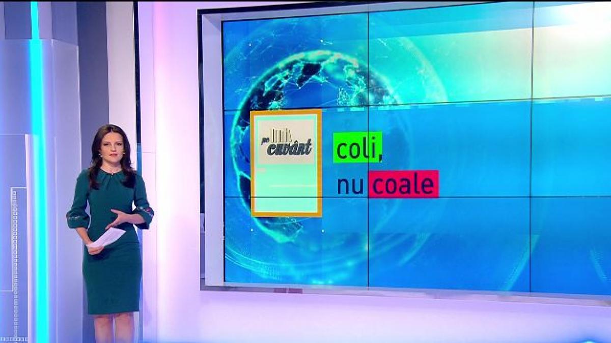 pe cuvant cu ana iorga care este pluralul corect al substantivului ciocolata