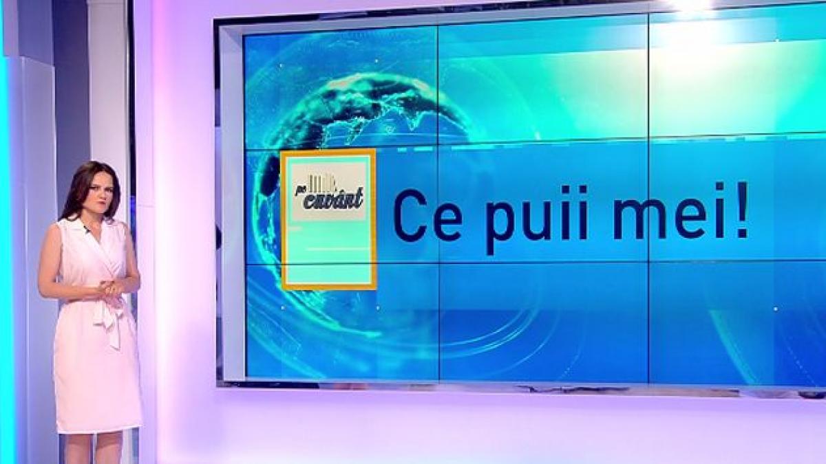 pe cuvant cu ana iorga romana e plina de comori la capitolul expresii obscene