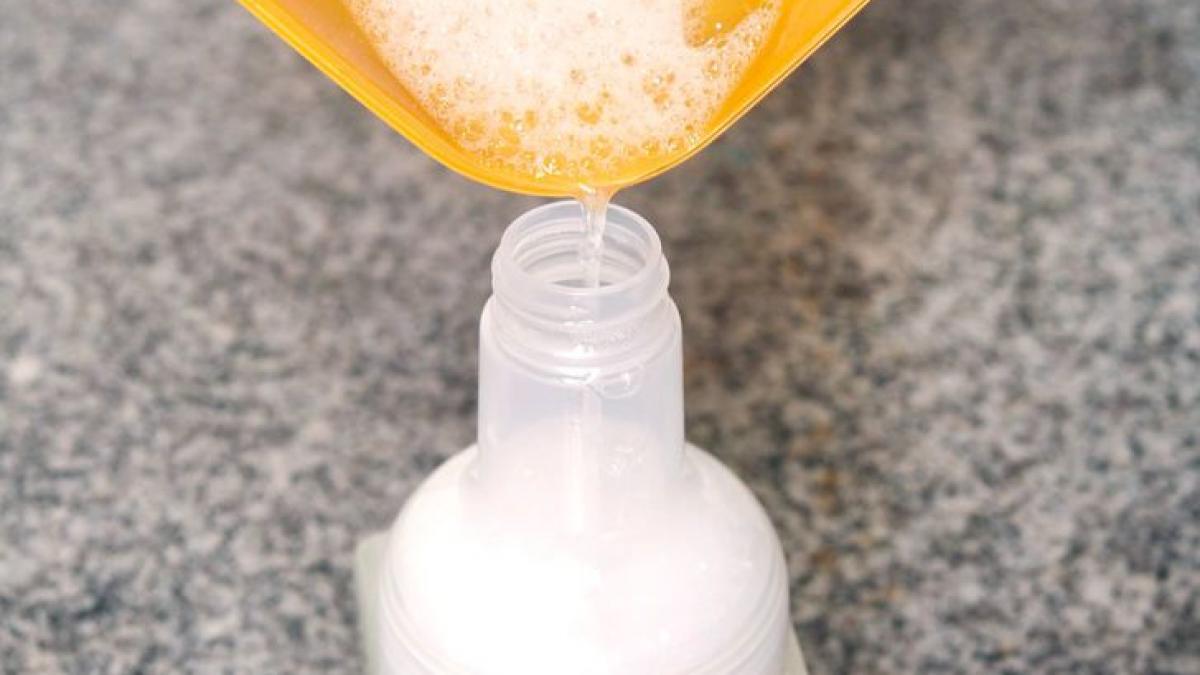 ai plante de gradina acesta este cel mai eficient peticid natural