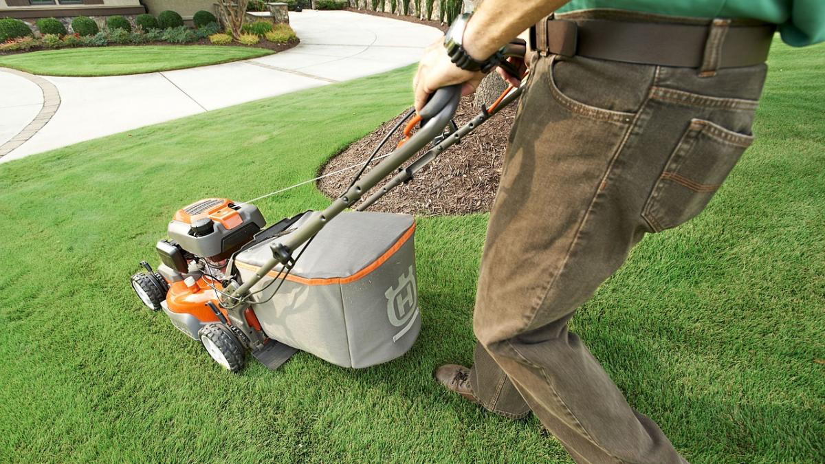 a inceput sa si tunda peluza insa in spatele sau se intampla ceva de a dreptul socant foto video