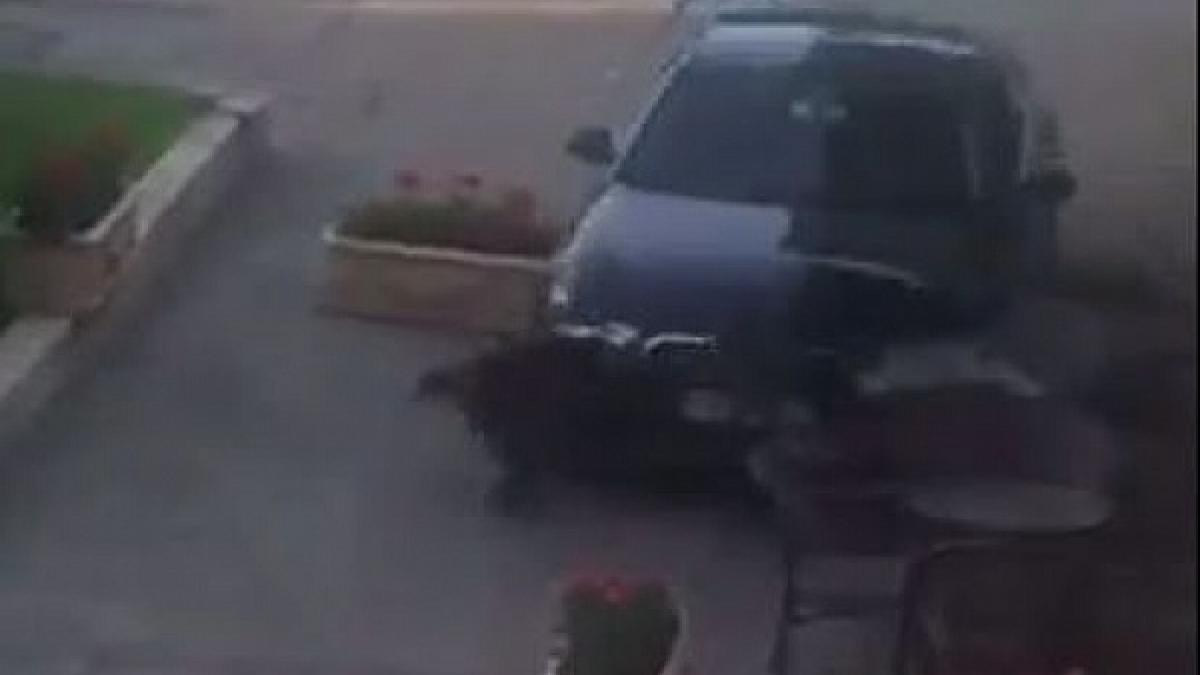 incident socant in satu mare o masina a intrat in plin in terase momentul a fost surprins de o