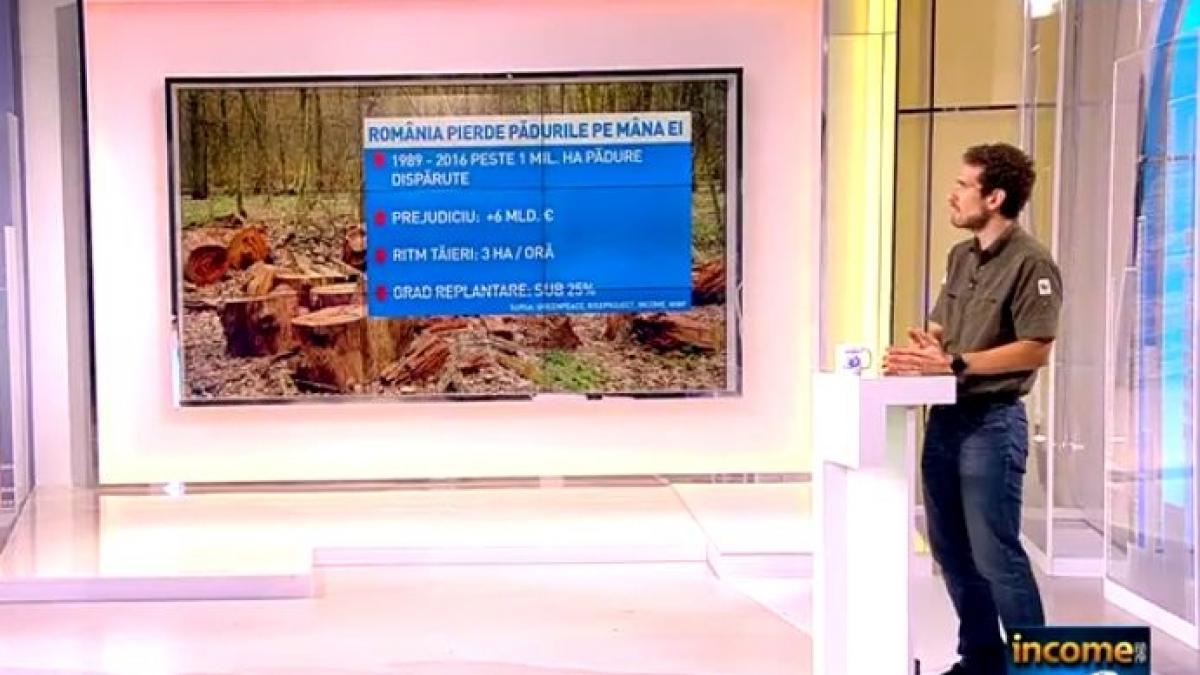 income romanii se mobilizeaza pentru salvarea padurilor