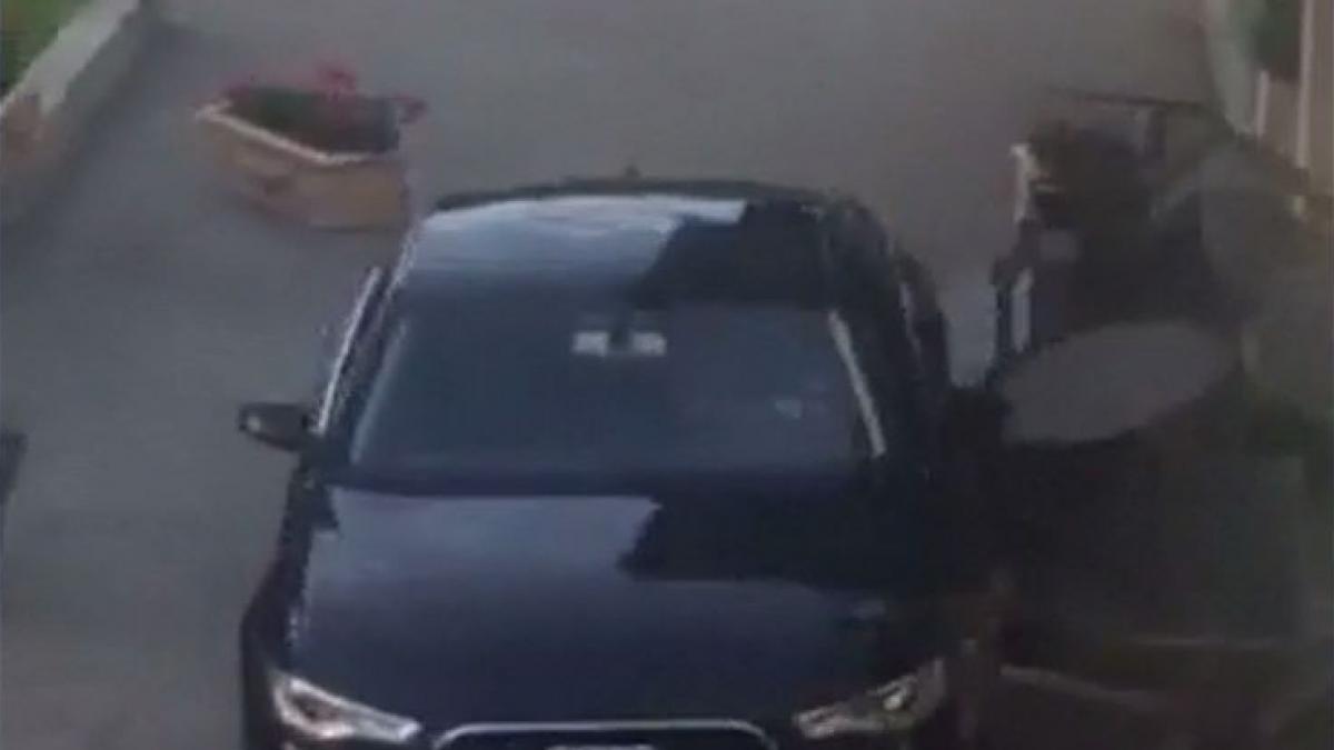 politia in alerta terasa spulberata de un sofer nervos la satu mare o fetita a fost accidentata