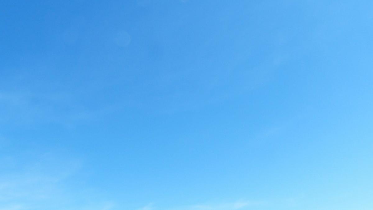 a iesit din restaurant cand ceva incredibil i s a intamplat au inceput sa cada din cer