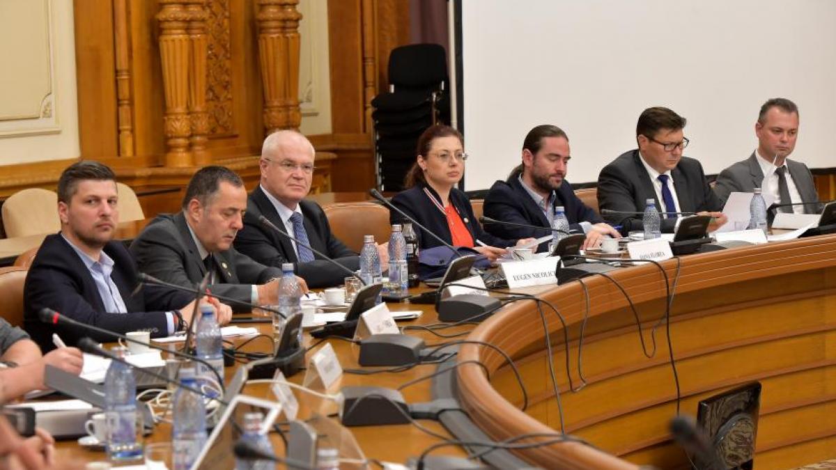 programul comisiei de ancheta privind prezidentialele prelungit cu 60 de zile