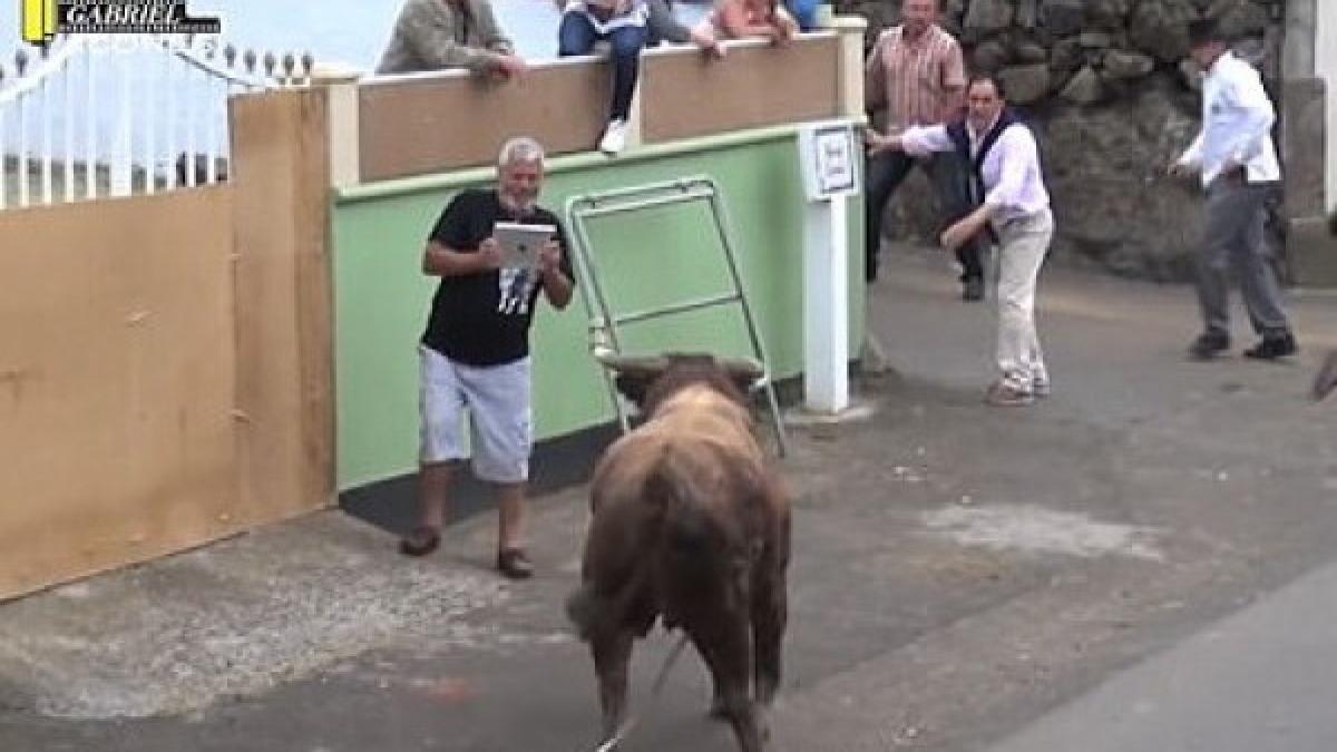 video filma un taur fioros si nu a realizat ca se indreapta inspre el ce a urmat