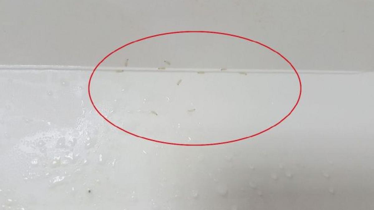 ce a descoperit o bucuresteanca in mancarea de la cunoscut supermarket la a doua inghititura a avut