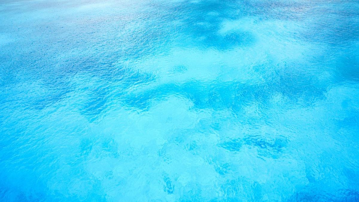 spectacol pe litoralul romanesc marea neagra a devenit turcoaz video