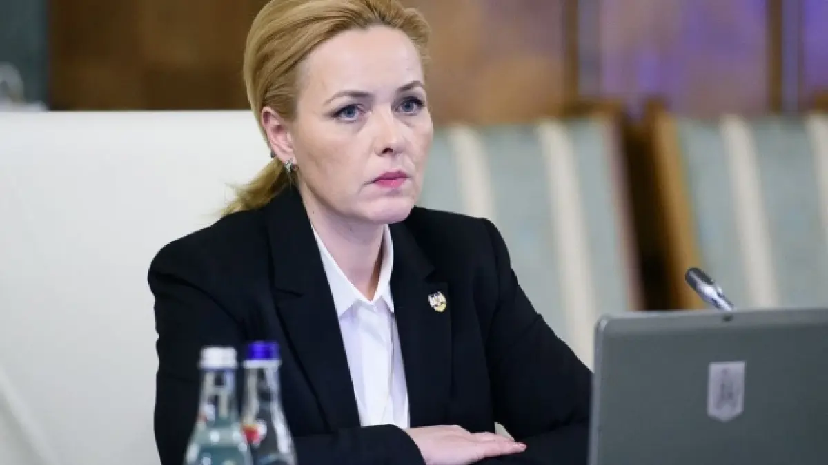 carmen dan despre demisiile ministrilor au ajuns la guvern premierul este singur acum