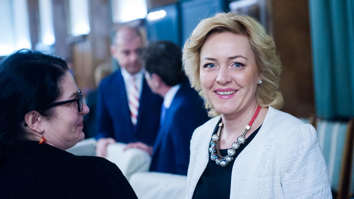 ministrul de interne atac la grindeanu premierul este singur