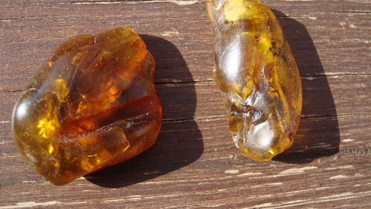 descoperire unica in lume ce au gasit arheologii intr o bucata de chihlimbar