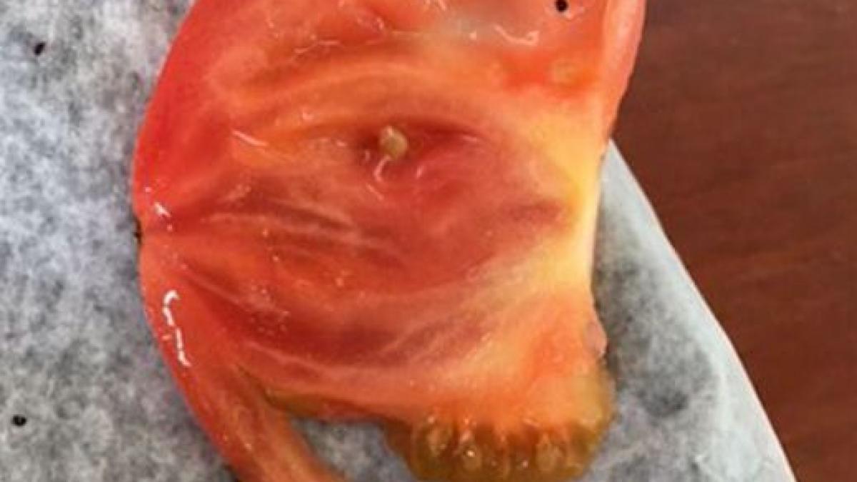 un tanar care sufera de un sindrom rar a taiat o rosie ce a vazut in interior este uluitor omul