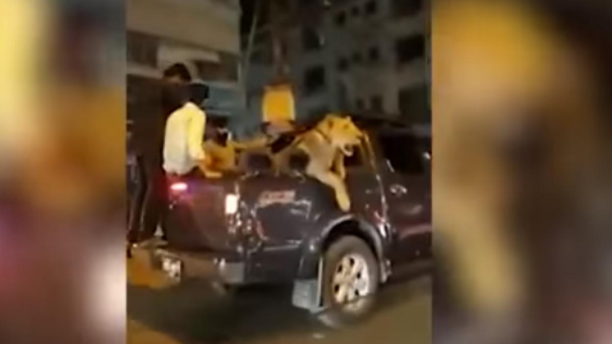 descoperire socanta facuta de politisti ce transporta un barbat in masina video