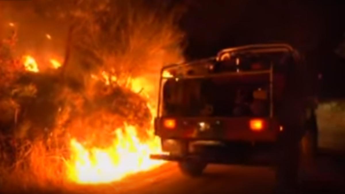 incendiul din portugalia soldat cu 64 de morti ar fi fost provocat intentionat